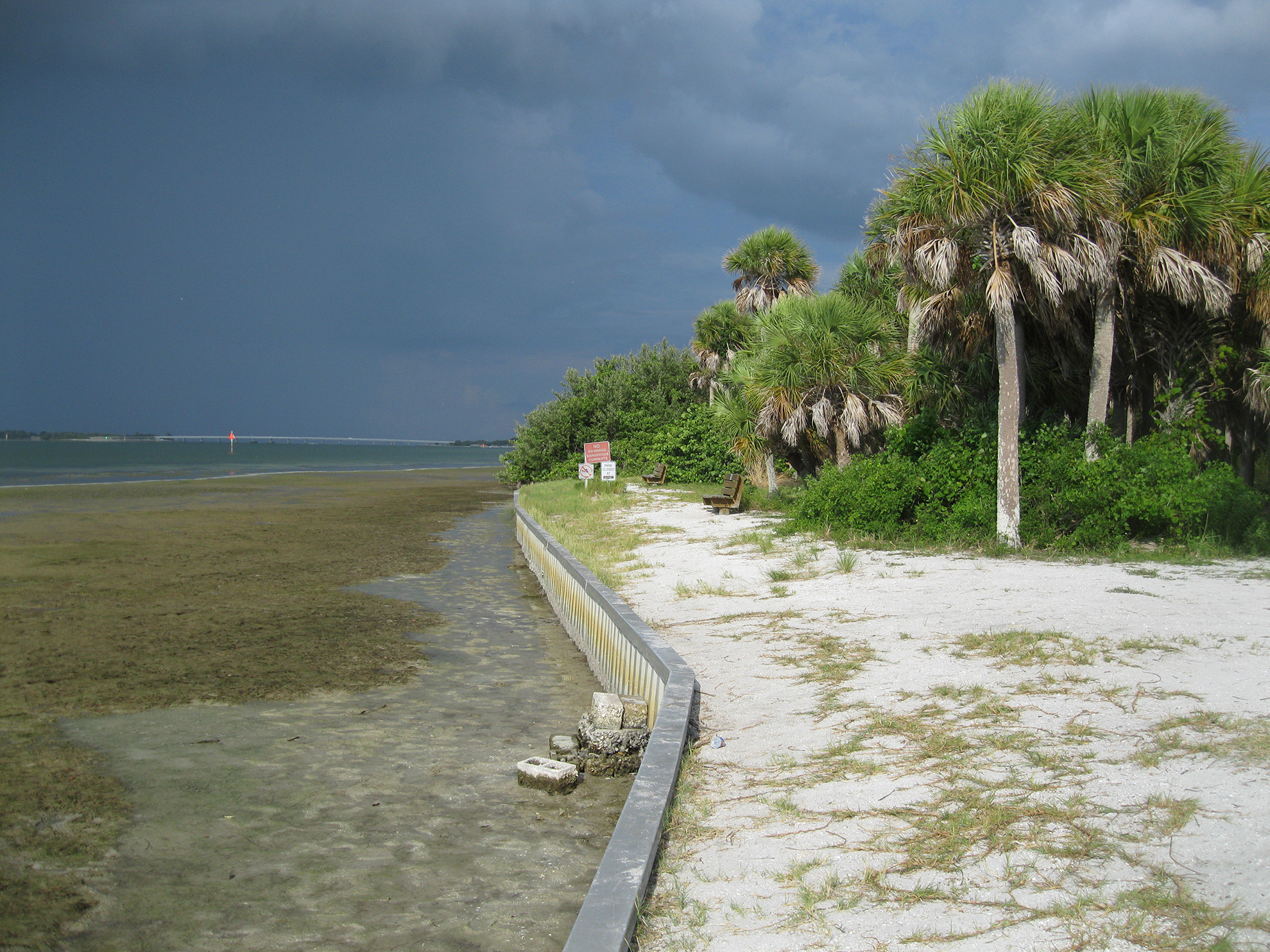 Bright beach with palm trees on right and dark storm clouds on left